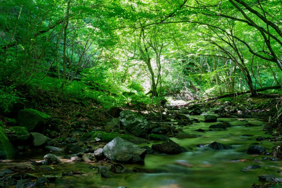 ジャスビコ 未来をつくる日本の技術